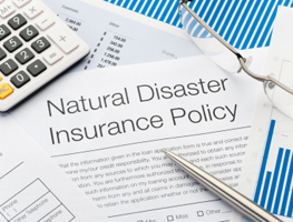 Fire and flood damage repair